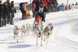 Lenk 2012 SM